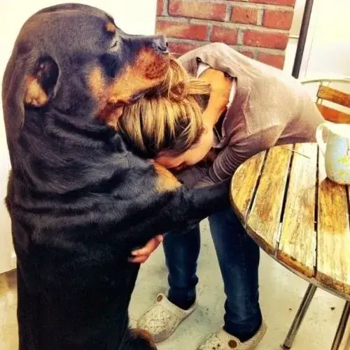 Ảnh hài vỗ về thể hiện sự quan tâm tinh tế qua nụ cười nhẹ