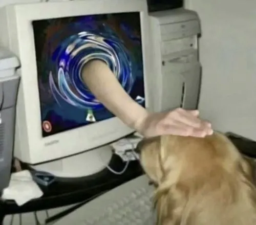 Meme an ủi dễ thương giúp bạn xua tan ngày dài căng thẳng