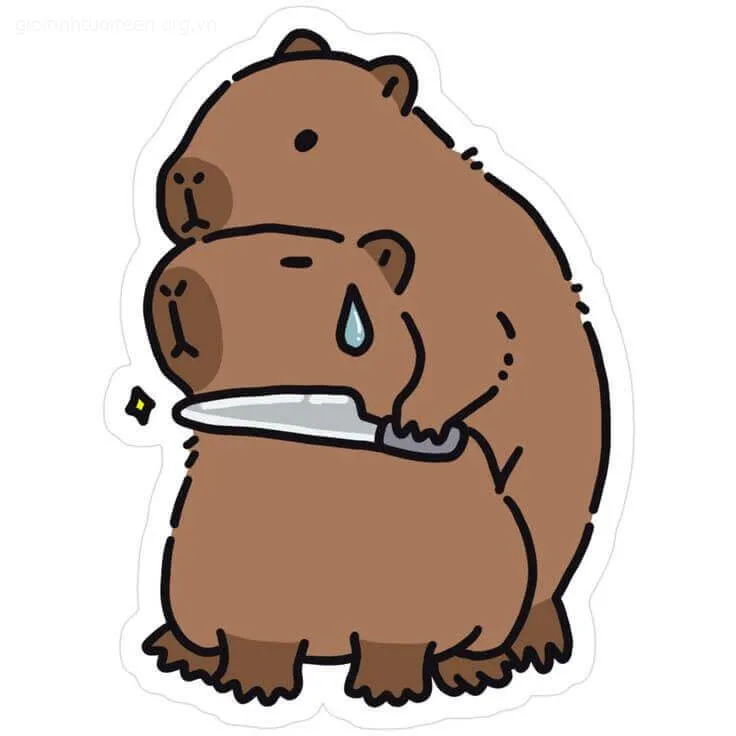 Ảnh capybara cute cực kỳ đáng cưng.