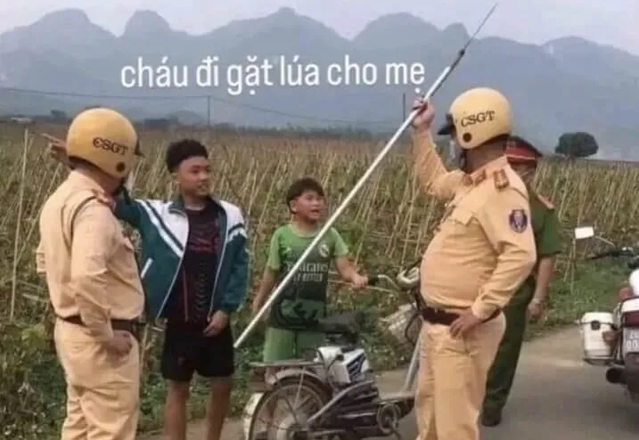 Bộ sưu tập ảnh cầm phóng lợn chỉnh sửa mang thông điệp giáo dục ý nghĩa