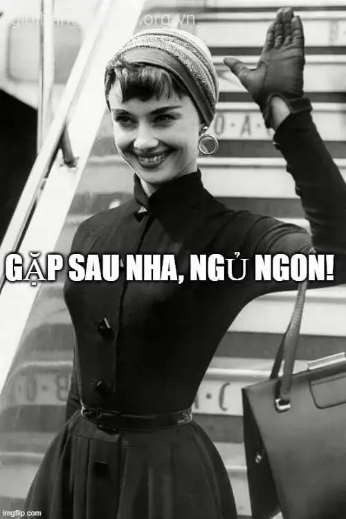 Meme giã từ cực troll, nhân vật vẫy tay trong cay đắng