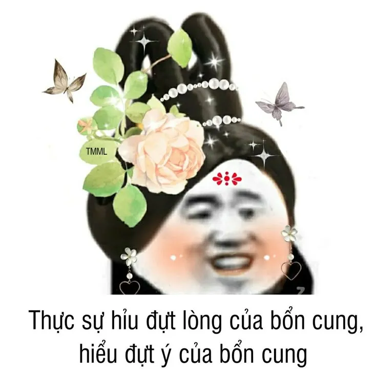Meme gấu trúc cung đấu hài hước