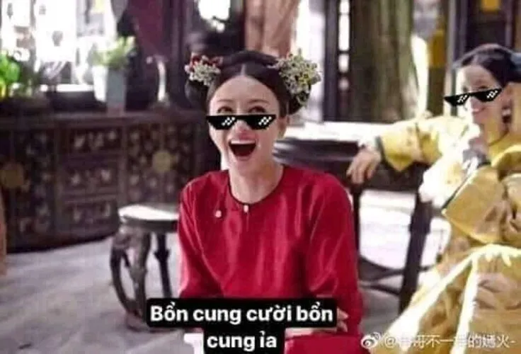 Bổn cung cười ỉa