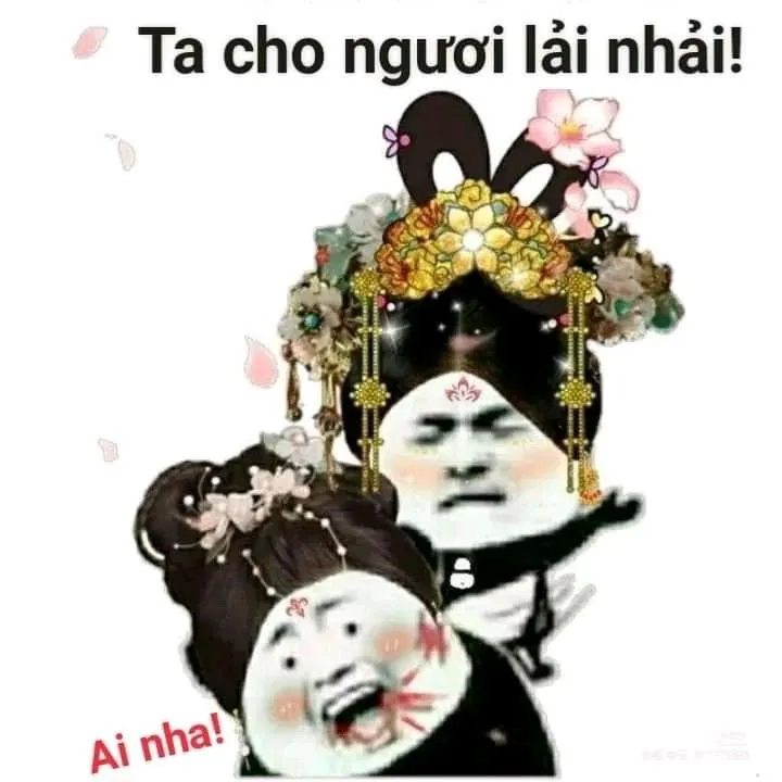 Hoàng hậu tát nô tỳ gấu trúc meme
