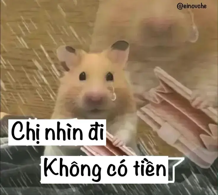 Chị nhìn đi, ko có tiền
