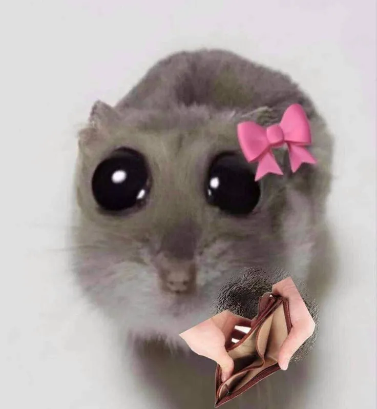 Chú chuột khoe chiếc ví trống trơn