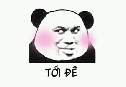 Hình gấu trúc Trung Quốc hài hước: Tới đê anh ơi