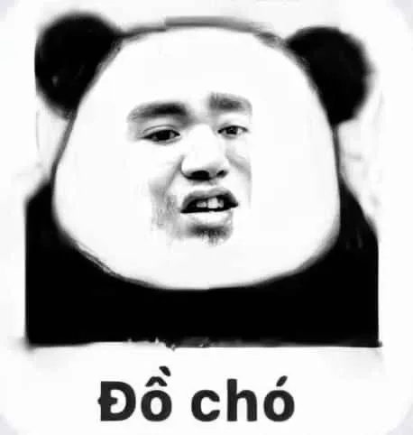 Meme gấu trúc Trung Quốc chửi Đồ Chó troll