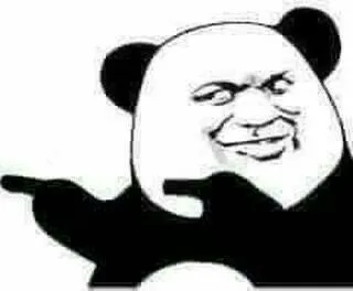 Hình gấu trúc troll chỉ 2 tay về phía bạn