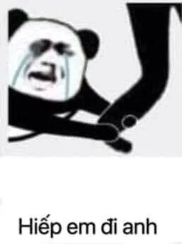 Biểu cảm gấu trúc níu chân năn nỉ