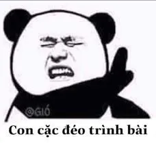 Gấu trúc mặt troll láo lỉnh: Con c**, đéo trình bày