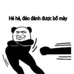 Gấu trúc mặt troll nhí nhảnh, ánh mắt lanh lợi.