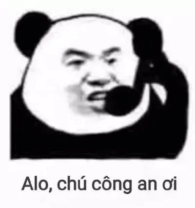 Meme gấu trúc weibo điện thoại báo công an