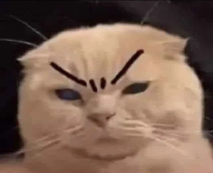 Ánh mắt phán xét biến khoảnh khắc ngớ ngẩn thành siêu hài