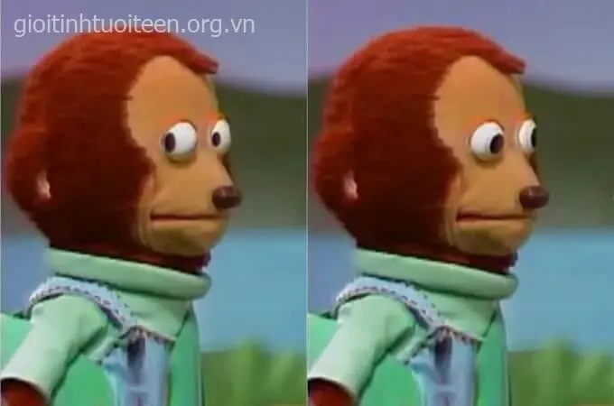 Biểu cảm bất ngờ ngơ ngác, nét mặt cực kỳ thú vị