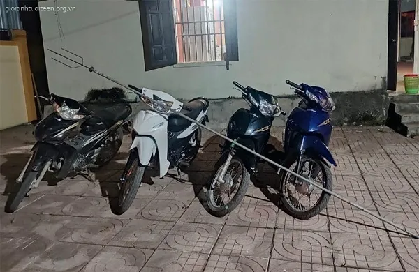 Các xe máy được các thanh niên phóng lợn lái