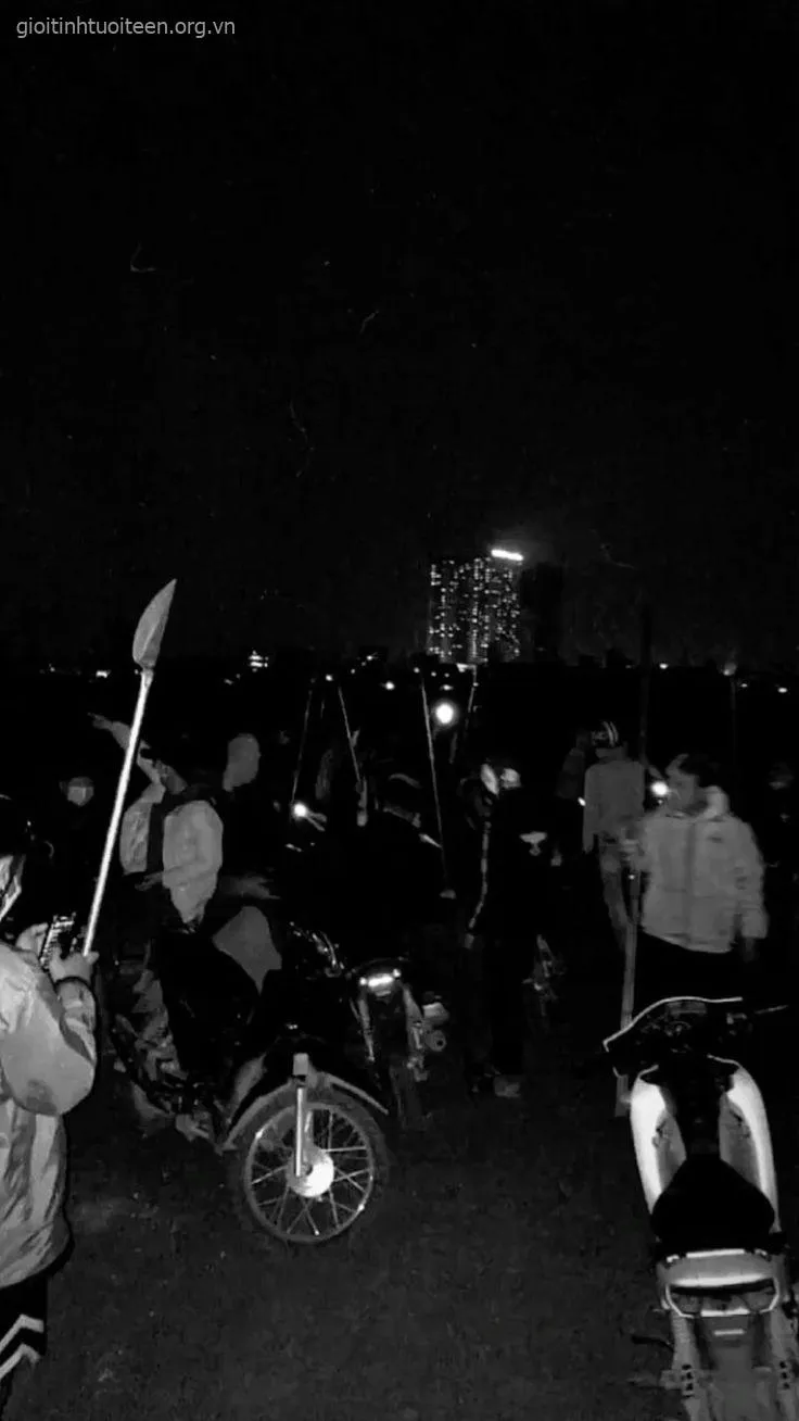 Các thanh niên phóng lợn tụ tập