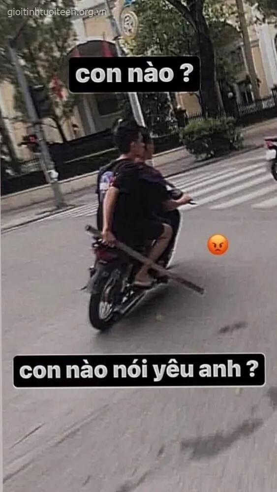 Hình chế thanh niên xe máy cầm phóng lợn.