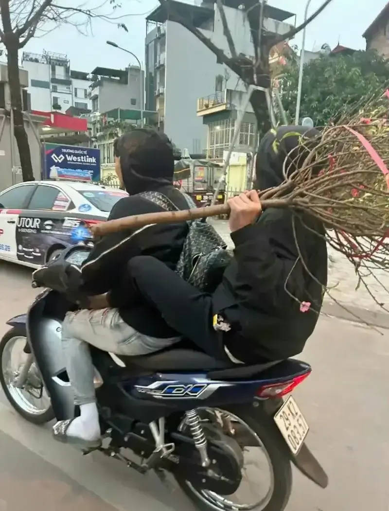 Ảnh chế cầm phóng lợn trông thiếu suy nghĩ.