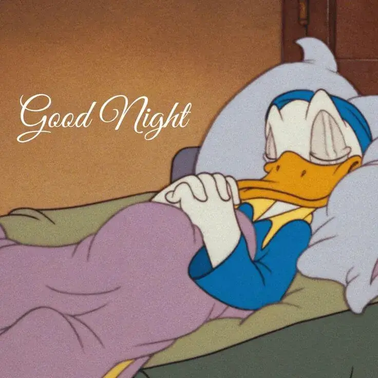 Meme chế cute, ngủ một giấc thật ngon