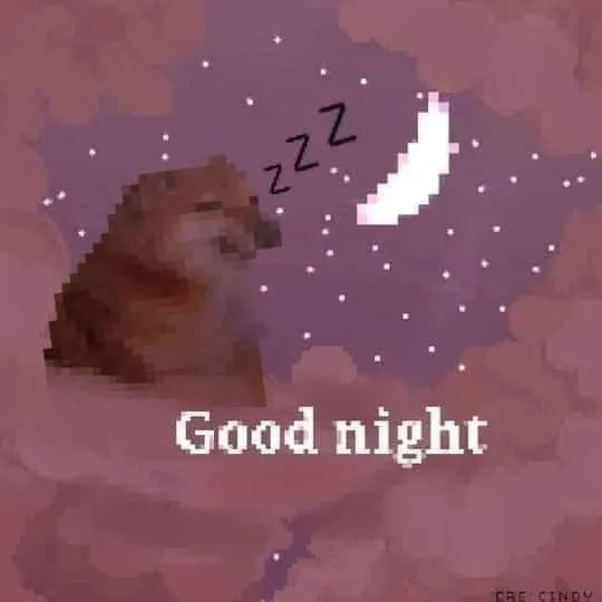 Meme chế đáng yêu chúc mơ đẹp lun