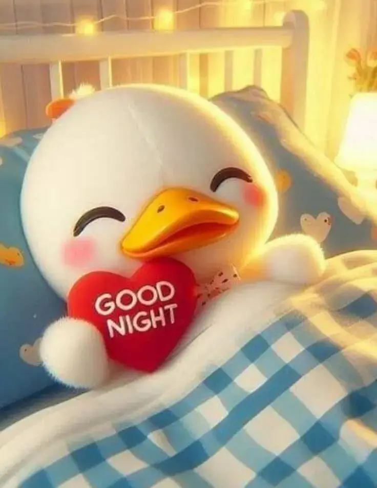 Ảnh chế vịt con nhắn gửi ngủ sớm cho dễ thương