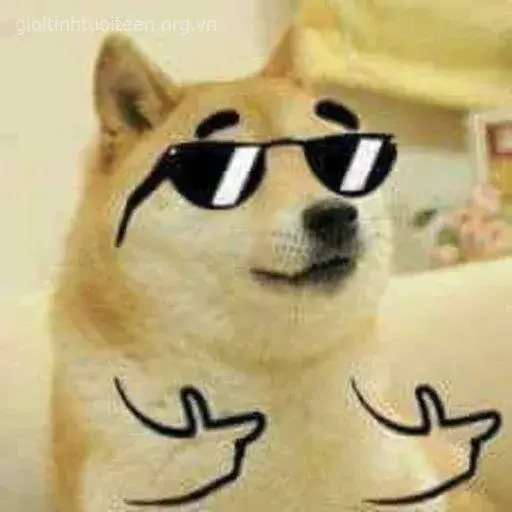 Chó Shiba dí dỏm chỉ tay, biểu cảm đầy thỏa mãn.