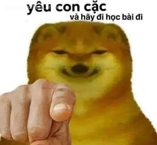Meme chó chỉ tay tạo cảm giác vừa buồn cười.