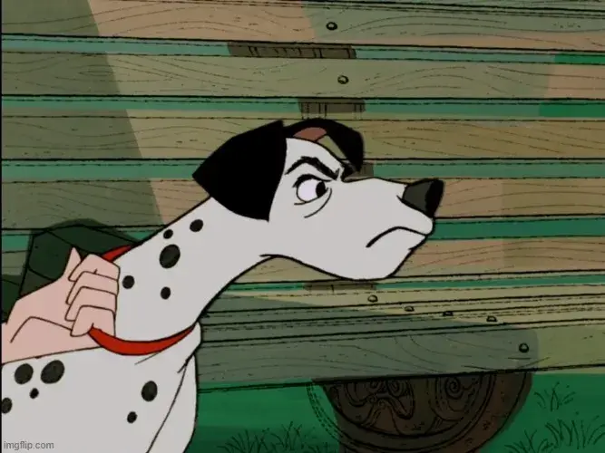 Meme chó lầy lội, biểu cảm bựa hài bá đạo.