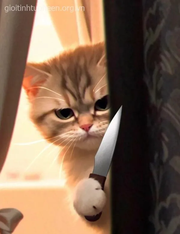 Mèo hung dữ lăm lăm dao, ánh nhìn đáng sợ.