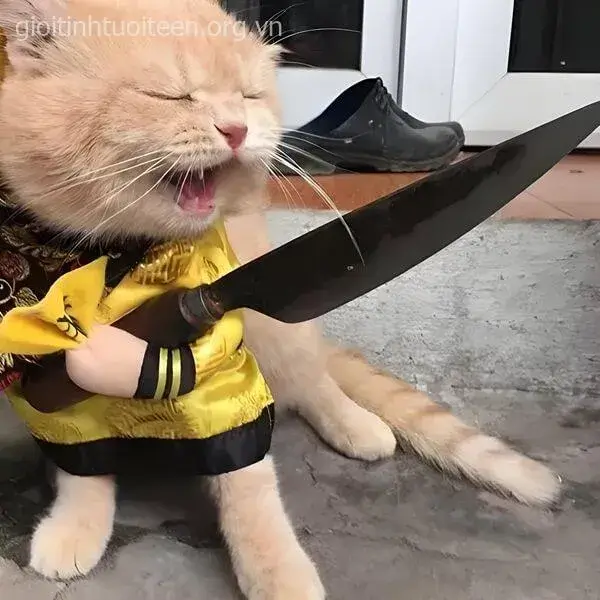 Mèo nhăn mặt nham hiểm, dao cầm chắc trong tay.