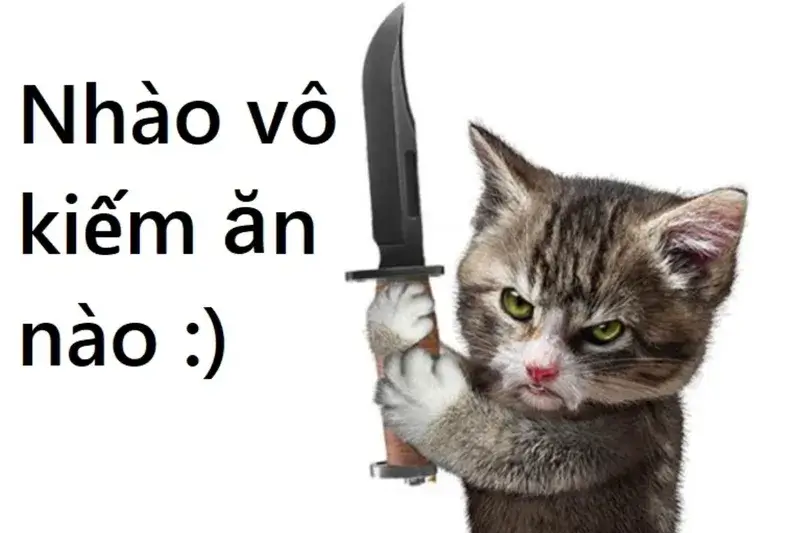 Nét mặt mèo nguy hiểm, tay siết dao đầy thách thức.