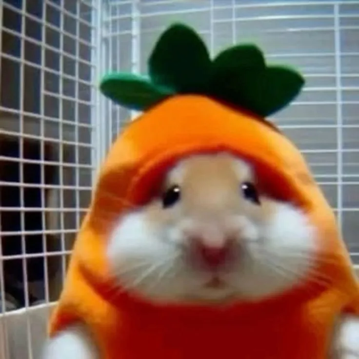 Nhìn ảnh đáng yêu thấy đời bớt khô