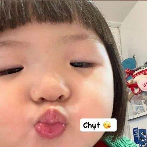 Hình chế thú cưng dễ thương khiến ai cũng mỉm cười