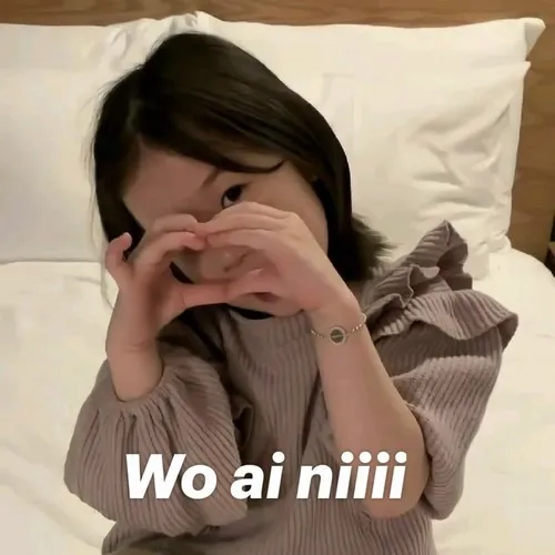 Ảnh troll đáng yêu mô tả biểu cảm hài hước của mèo