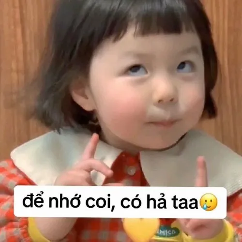 Meme hài đáng yêu lan nhanh trên TikTok Việt Nam