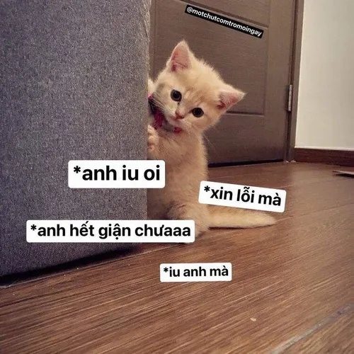 Tổng hợp những meme đáng yêu “cứu mood” siêu hiệu quả cho ngày uể oải