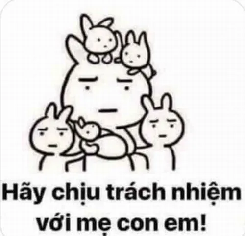 Meme hài thú cưng đáng yêu cực kỳ dễ mến