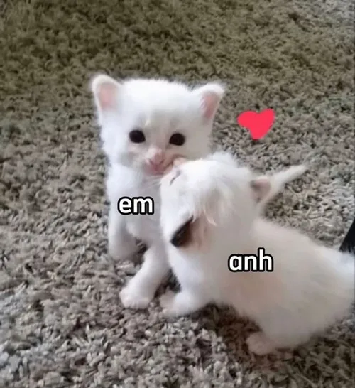 Meme đáng yêu mang vibe trong trẻo, nhìn là thấy yêu đời