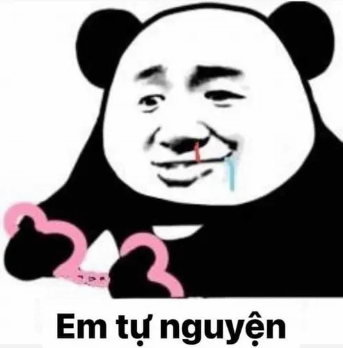 Meme hài đáng yêu mô tả cảm xúc thân thiện