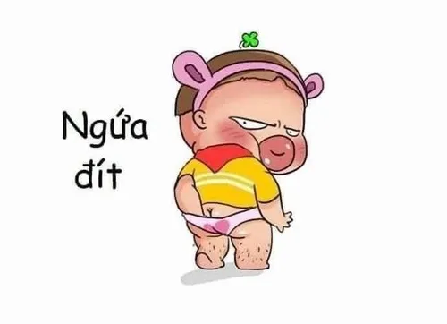 Ảnh vui đáng yêu giúp bạn thư giãn giữa ngày