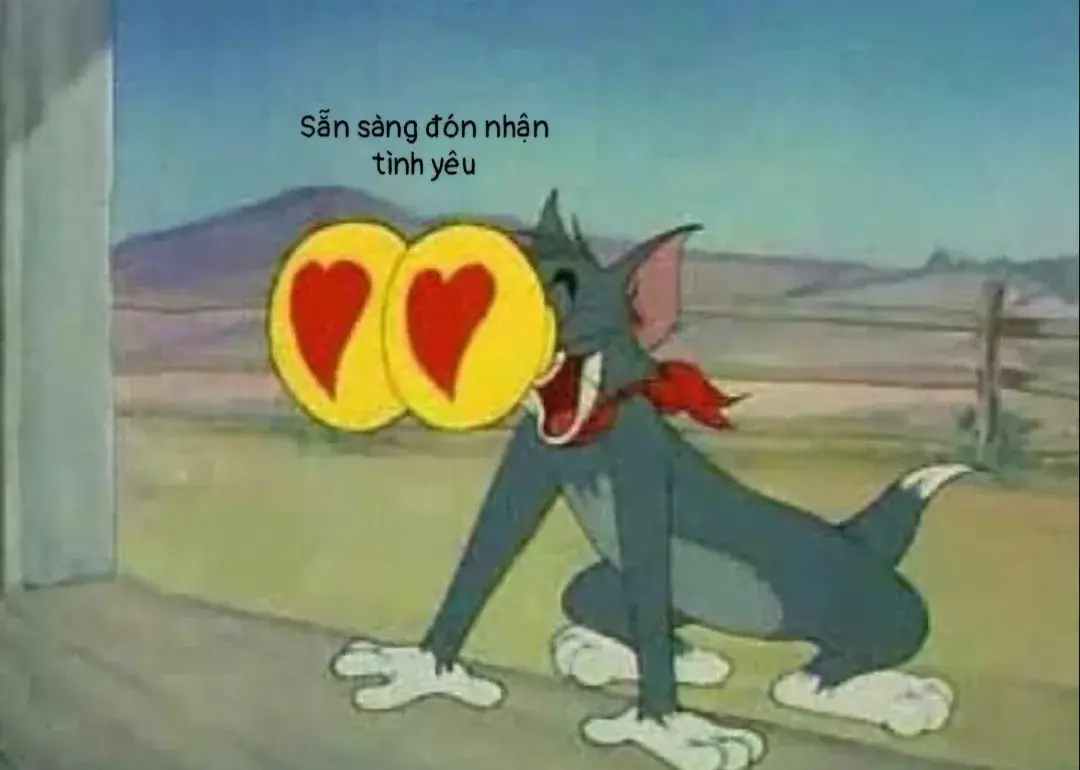 Mèo Tom gương mặt tươi cười, nét đáng yêu khiến ai cũng thích