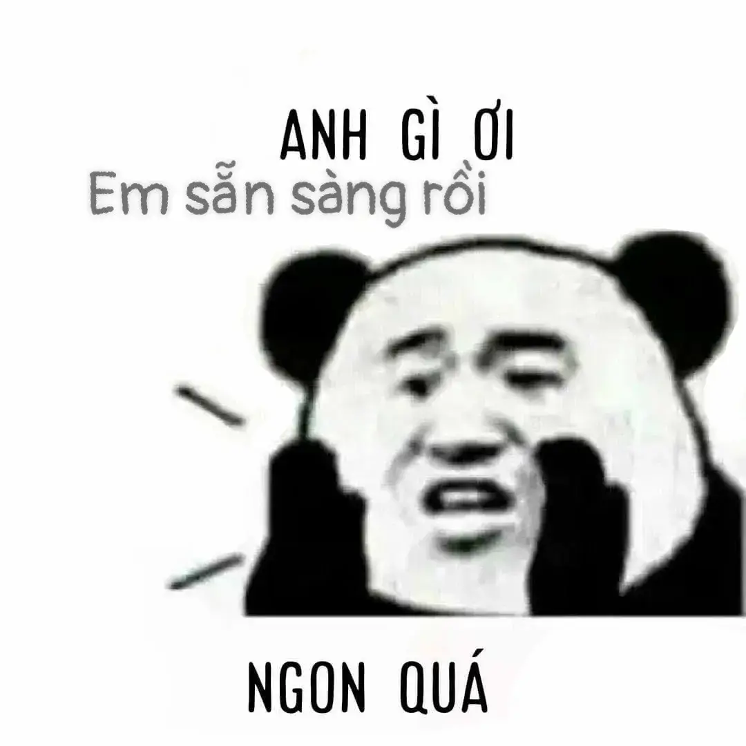 Gấu trúc la lớn: Anh ơi em sẵn sàng rồi