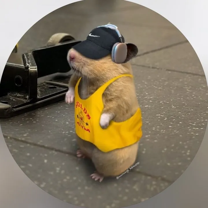 Avatar hamster dễ mến nụ cười đáng yêu