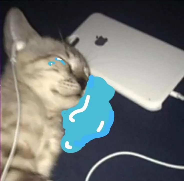 Meme mèo khóc bên điện thoại