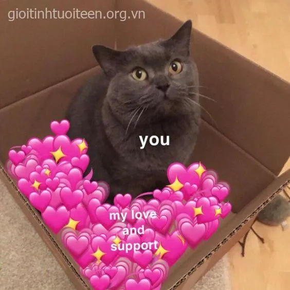 Meme mèo cute với gương mặt tròn trịa, nụ cười tinh nghịch.