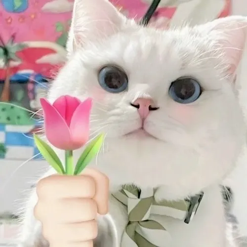 Meme mèo cầm bó hoa hồng nâu trendy gây chú ý.