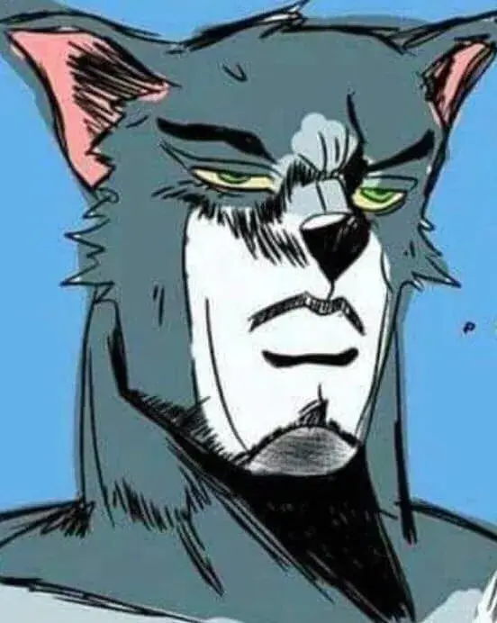 Meme mèo Thomas cơ bắp mạnh mẽ