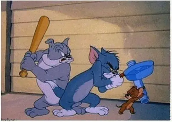 Mèo Tom chuột Jerry và chó Spike đánh nhau