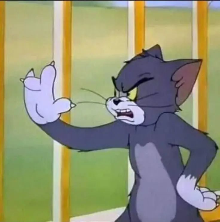 Meme Tom tức cười, gương mặt dở khóc.